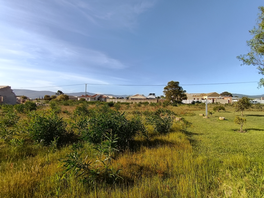 0 Bedroom Property for Sale in Fisherhaven Western Cape